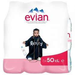 Evian naturelle 5 x 6 pet 50 cl. (30)